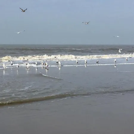 Dom wakacyjny Buiten 41